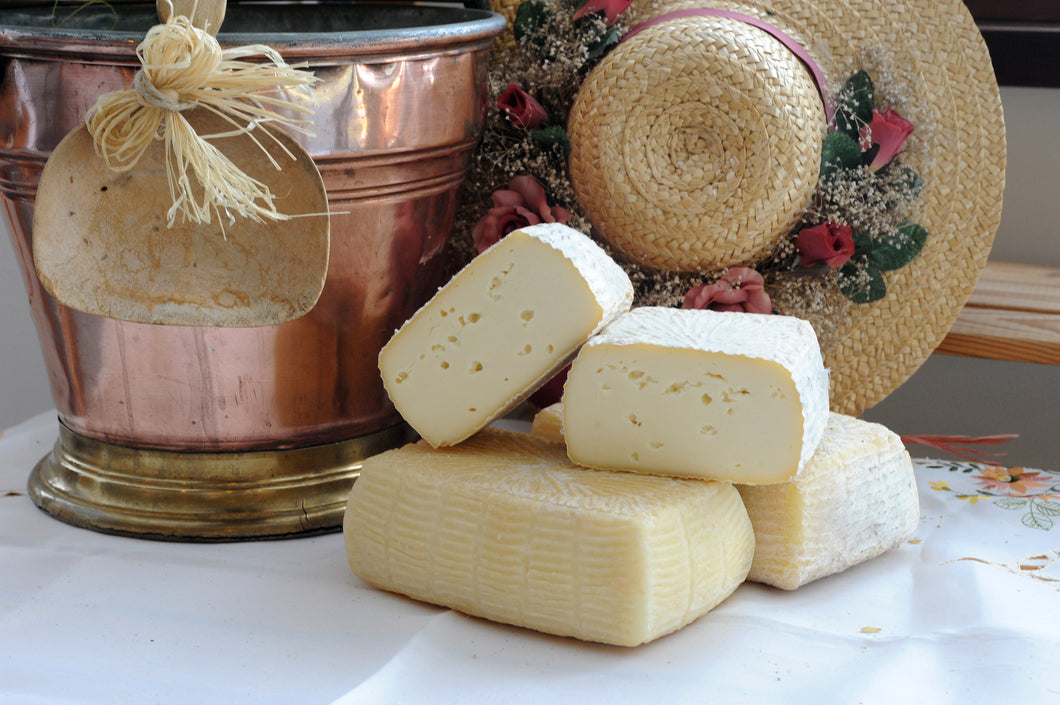 Lingotto von Ziegenkäse